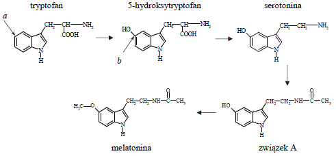 serotonina tryptofan