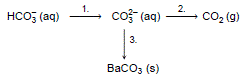 HCO3 - -> CO3 2-  > CO2