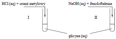 glicyna zadania maturalne