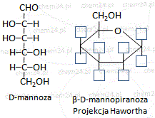 D-mannoza wzór Fischera projekcja Hawortha